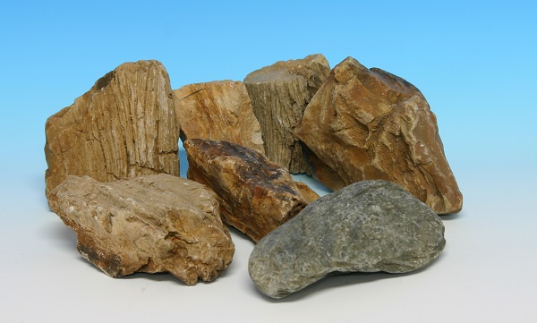 水槽のレイアウトに使える石をご紹介！！｜熱帯魚、アクアリウム情報 