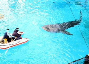 なんで川で遭遇！？驚異の大型魚たちの画像